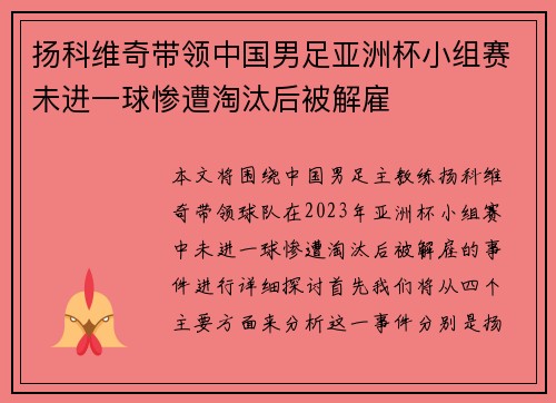 扬科维奇带领中国男足亚洲杯小组赛未进一球惨遭淘汰后被解雇